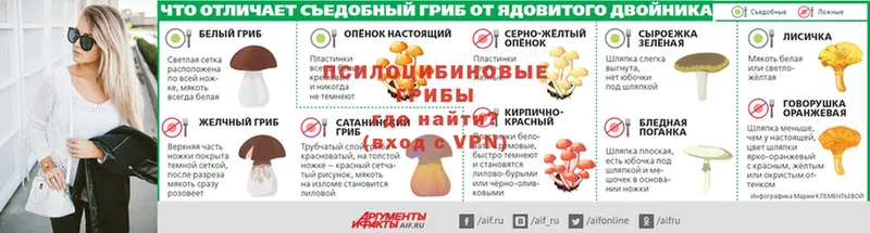 Галлюциногенные грибы мухоморы  Зуевка 