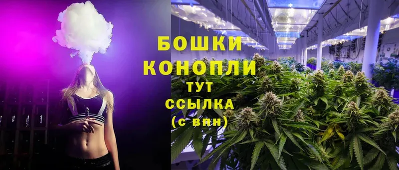 Бошки Шишки SATIVA & INDICA  Зуевка 